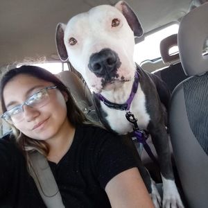 Meet your Posher, Sky